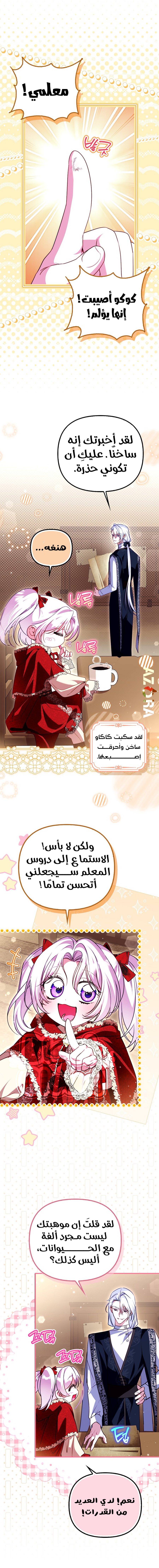 الصفحة 13