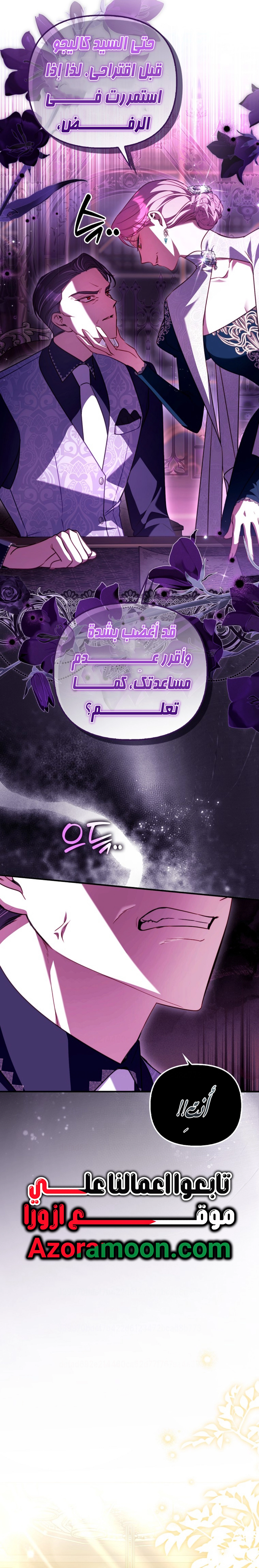 الصفحة 19