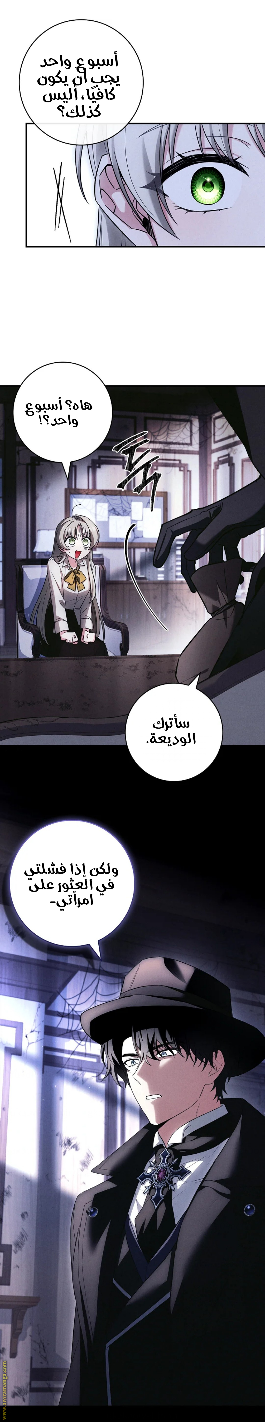 الصفحة 41