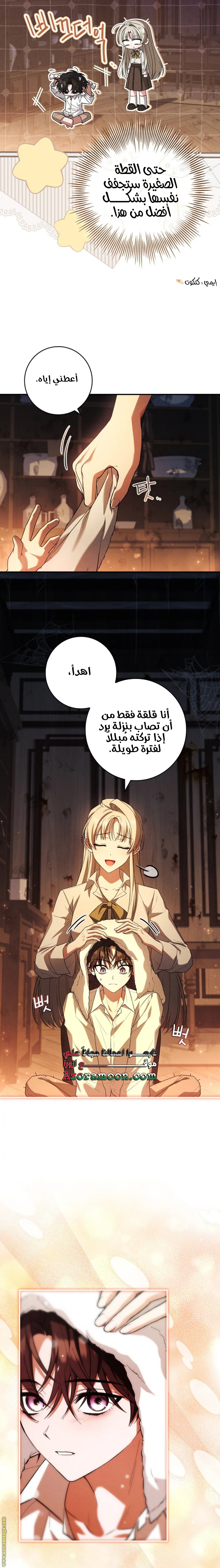 الصفحة 19