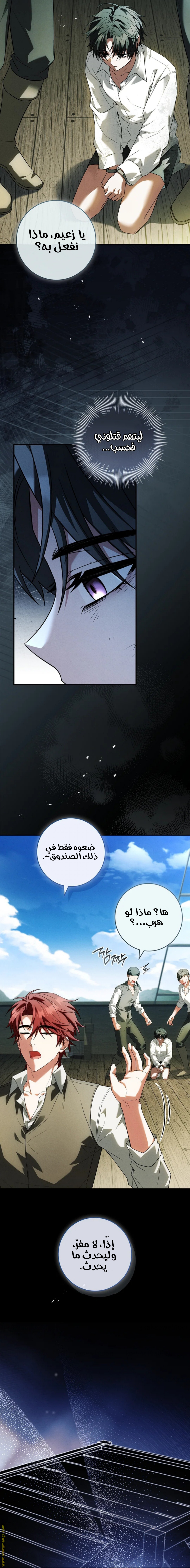 الصفحة 21