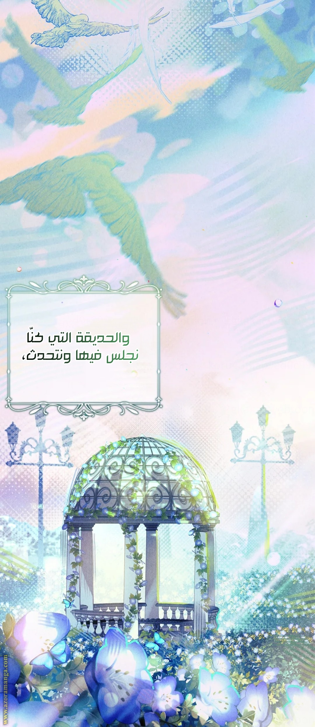 الصفحة 11