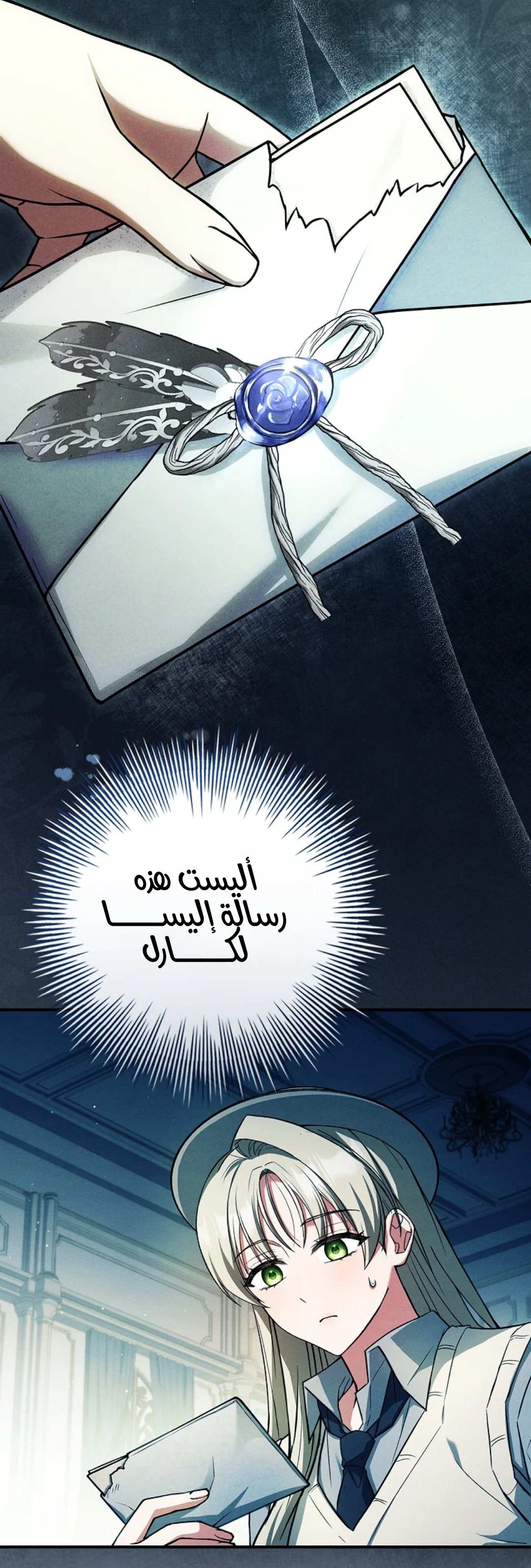 الصفحة 13