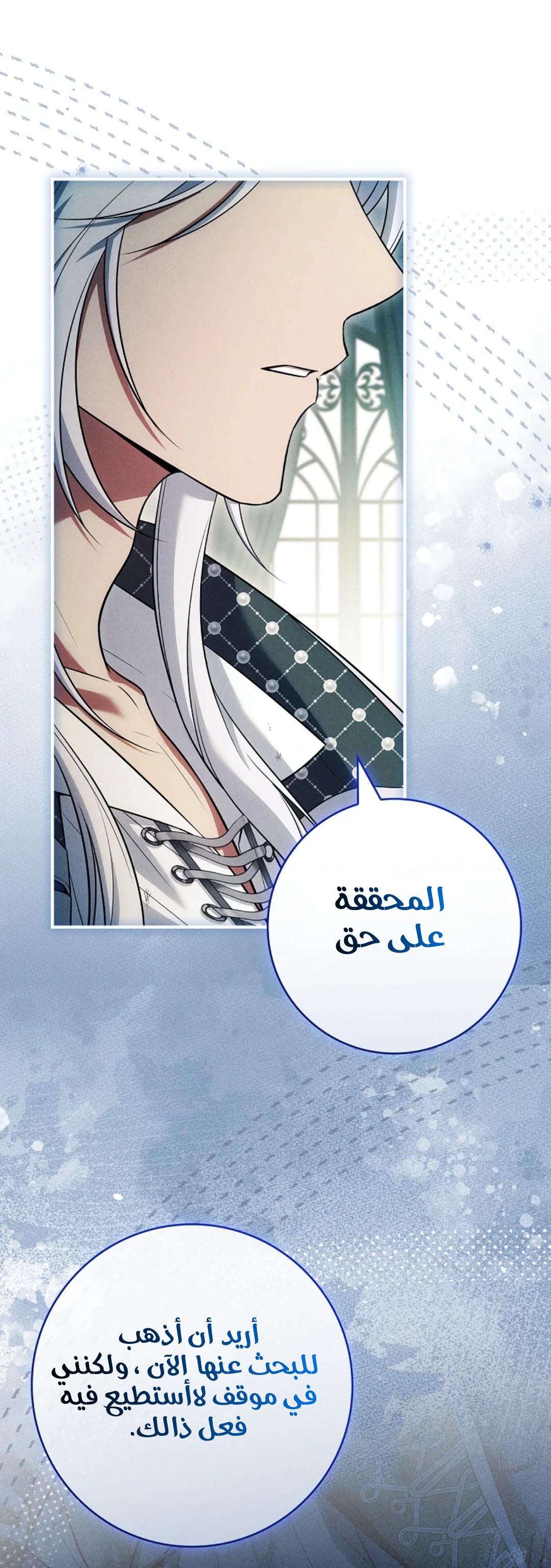 الصفحة 41