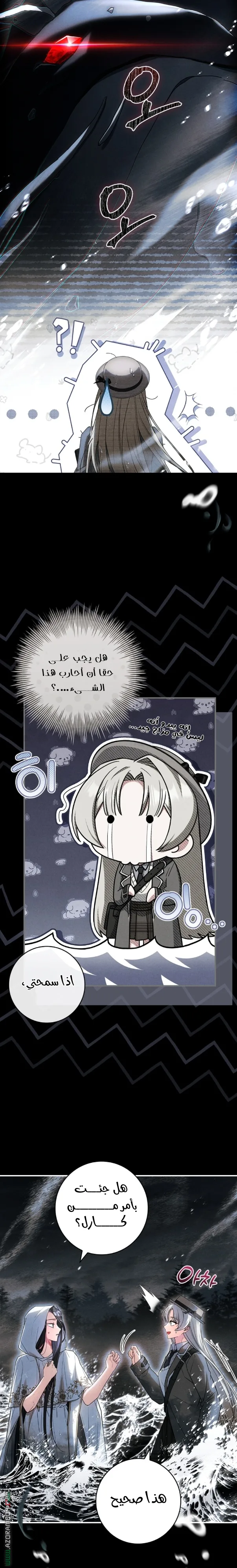 الصفحة 9