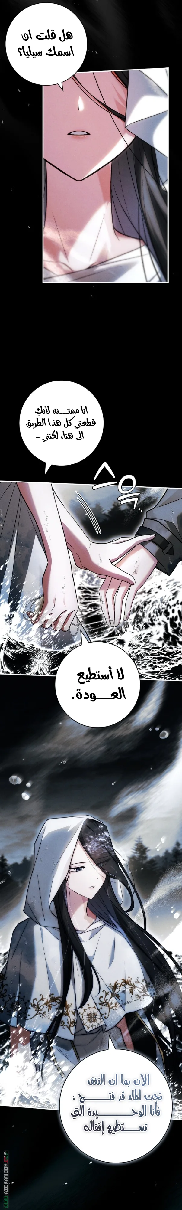 الصفحة 13