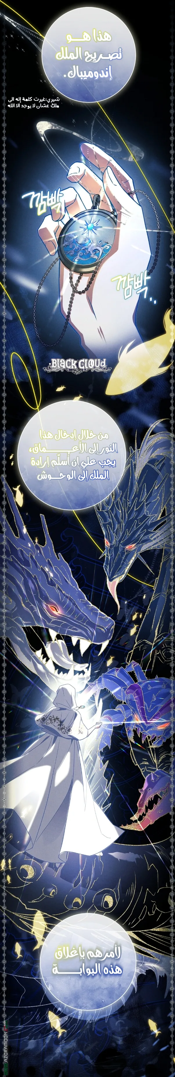 الصفحة 17