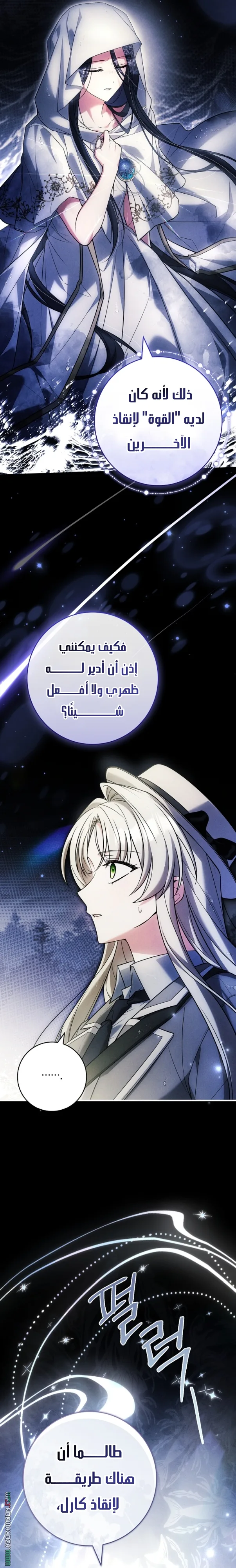 الصفحة 26