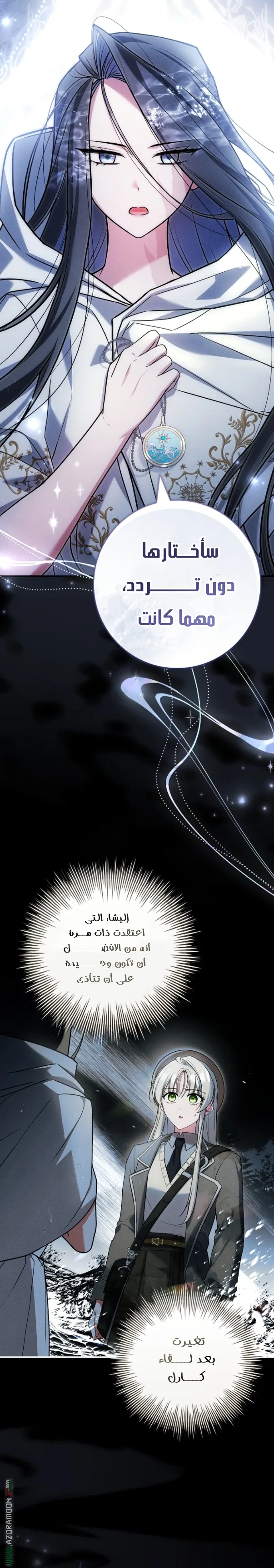 الصفحة 27