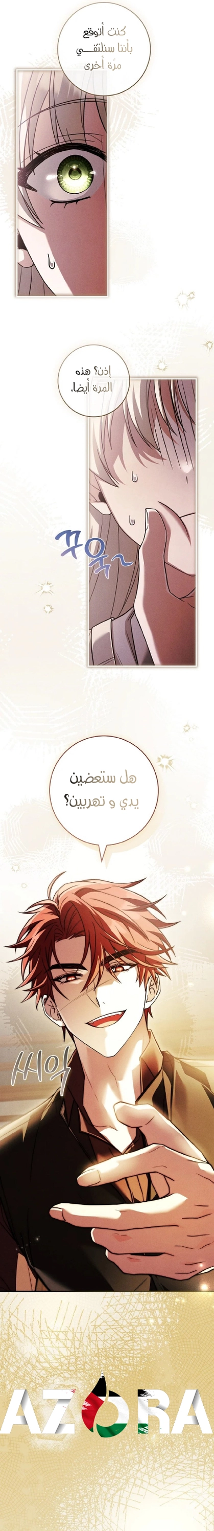الصفحة 13