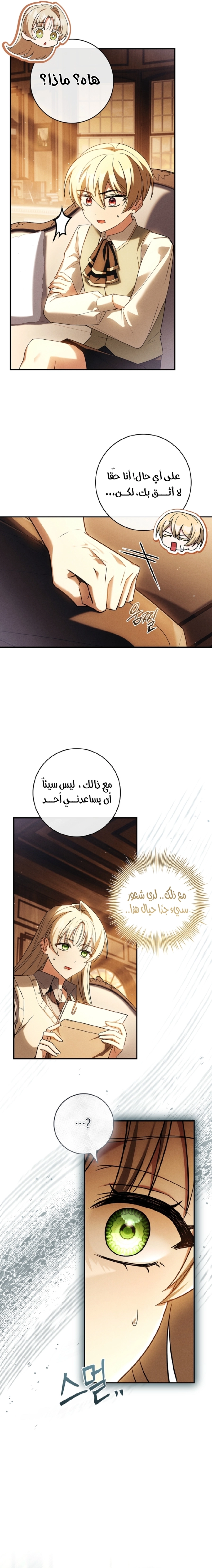 الصفحة 17