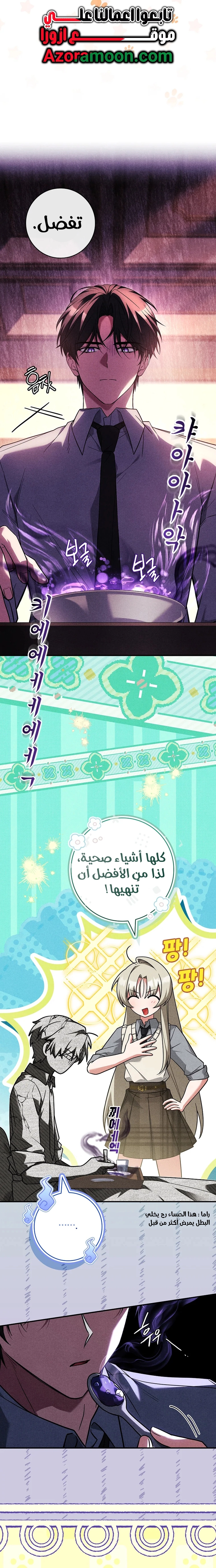 الصفحة 13