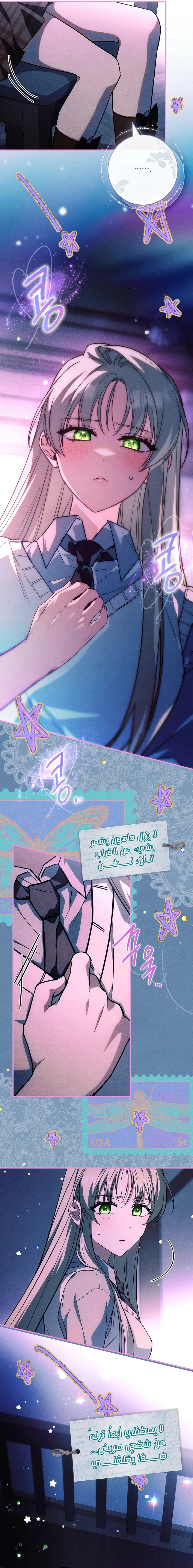 الصفحة 19