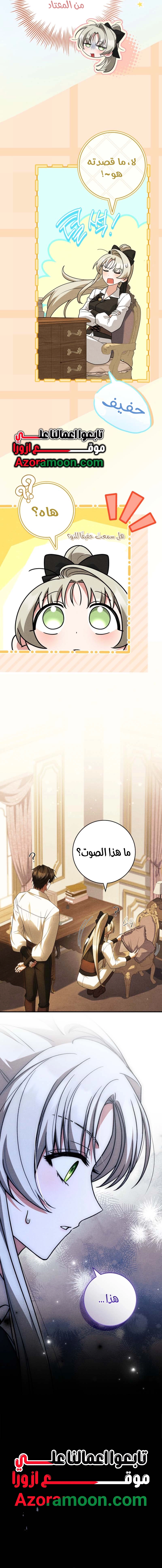 الصفحة 17