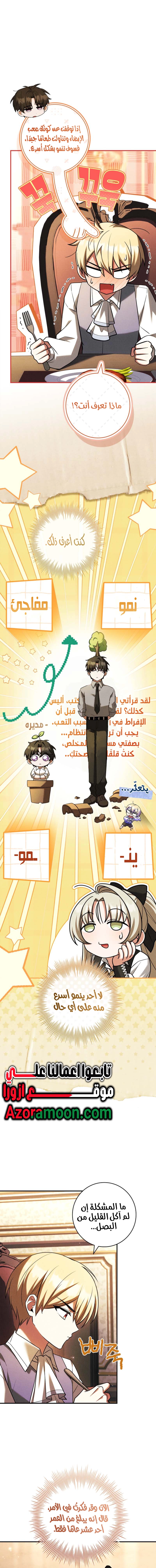 الصفحة 11