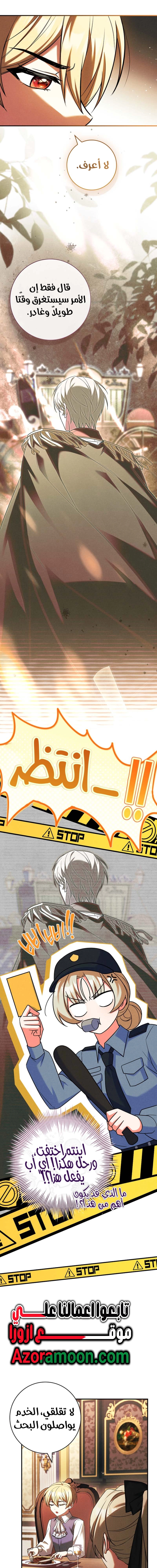 الصفحة 13