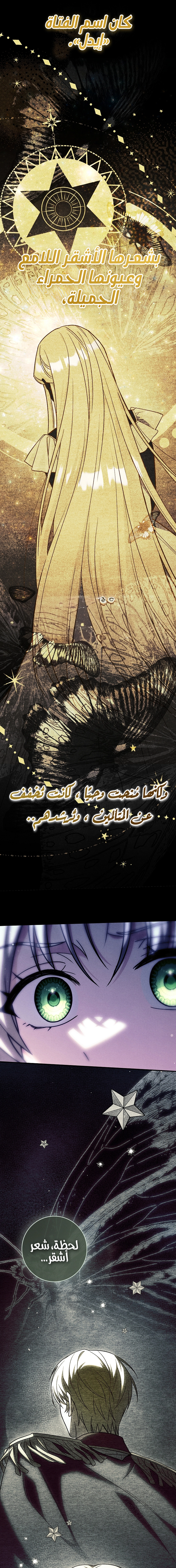 الصفحة 24