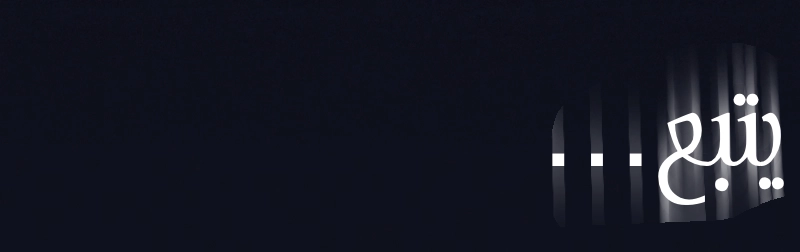 الصفحة 25