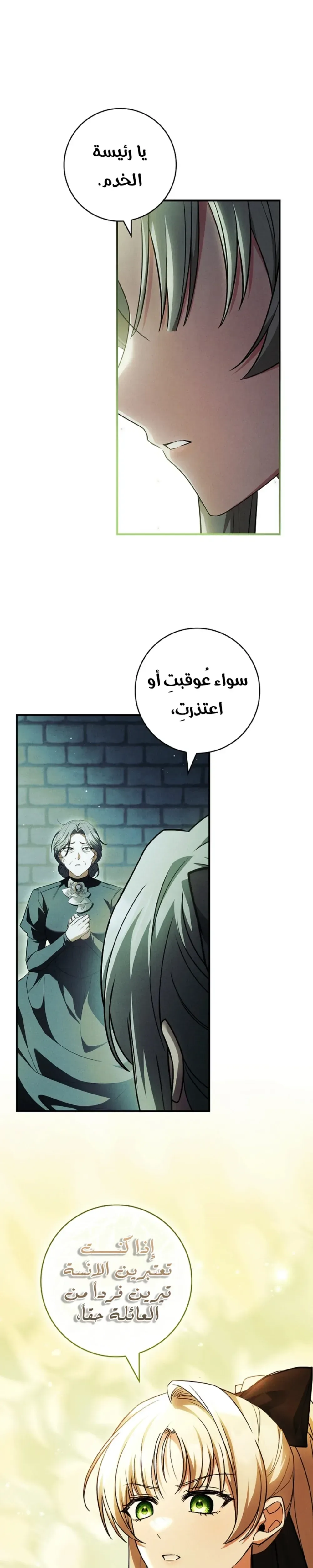 الصفحة 25