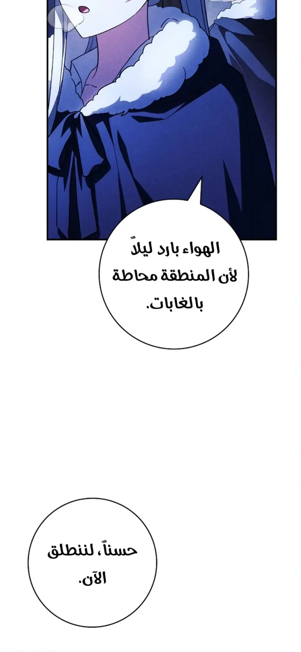 الصفحة 30