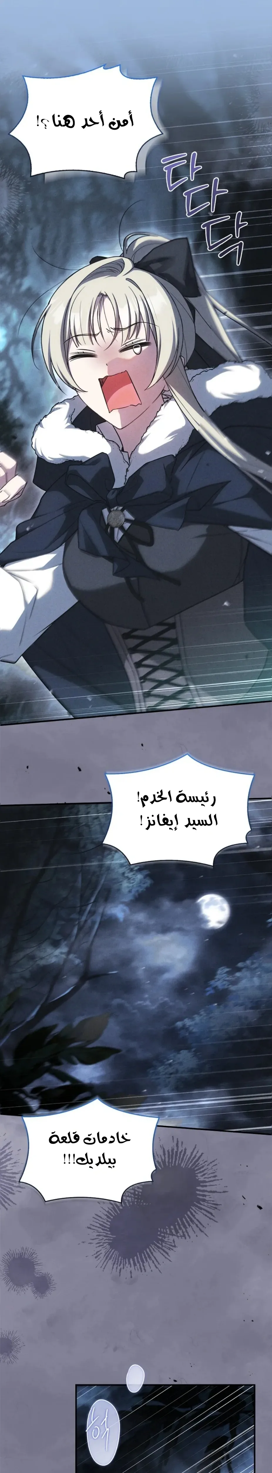 الصفحة 26