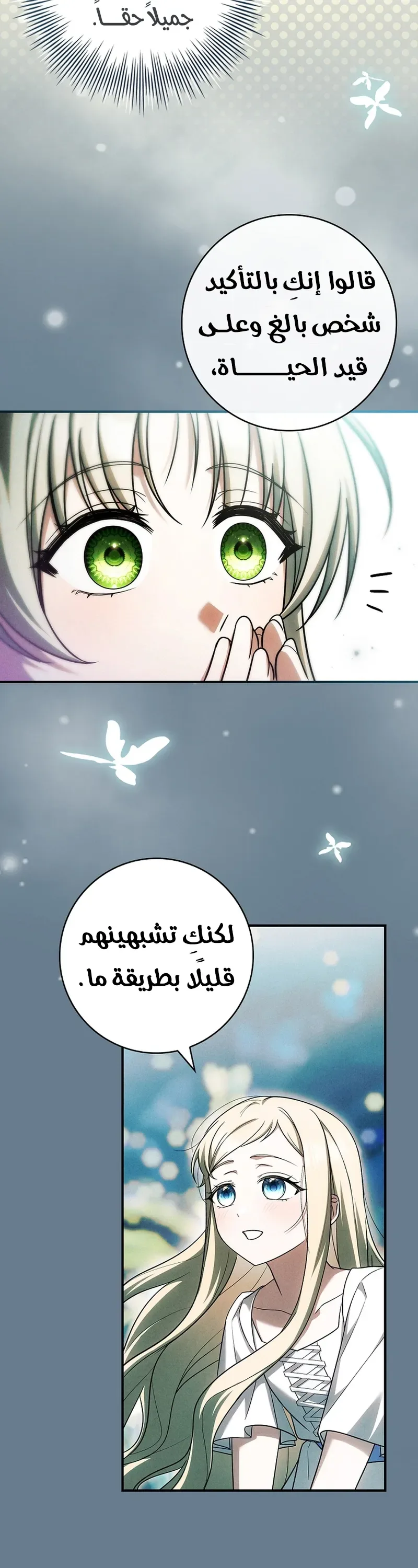الصفحة 2