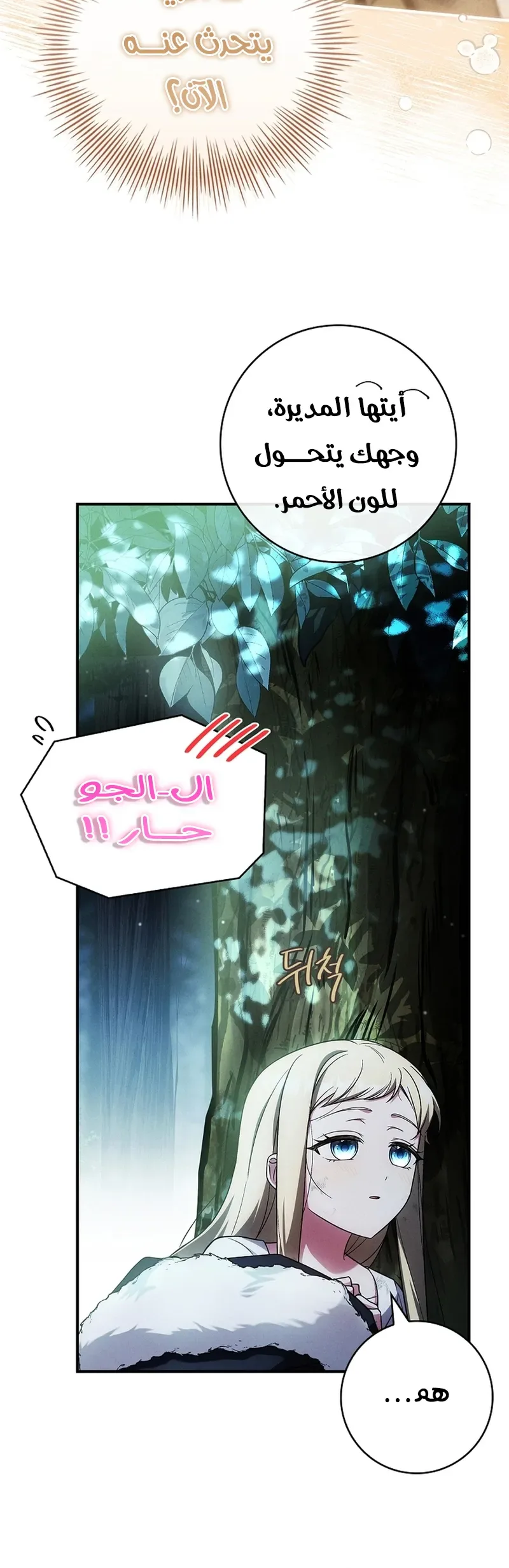 الصفحة 24