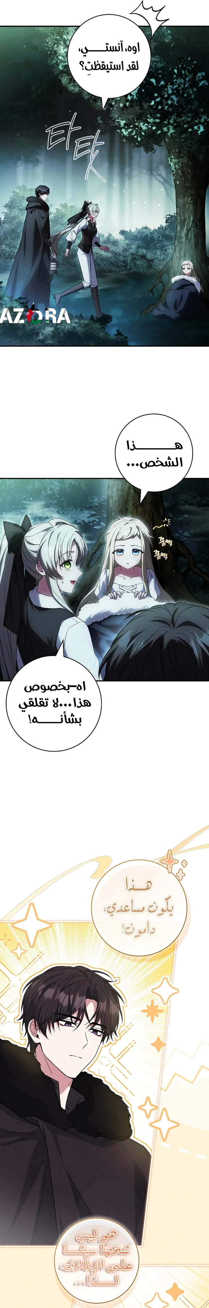 الصفحة 25