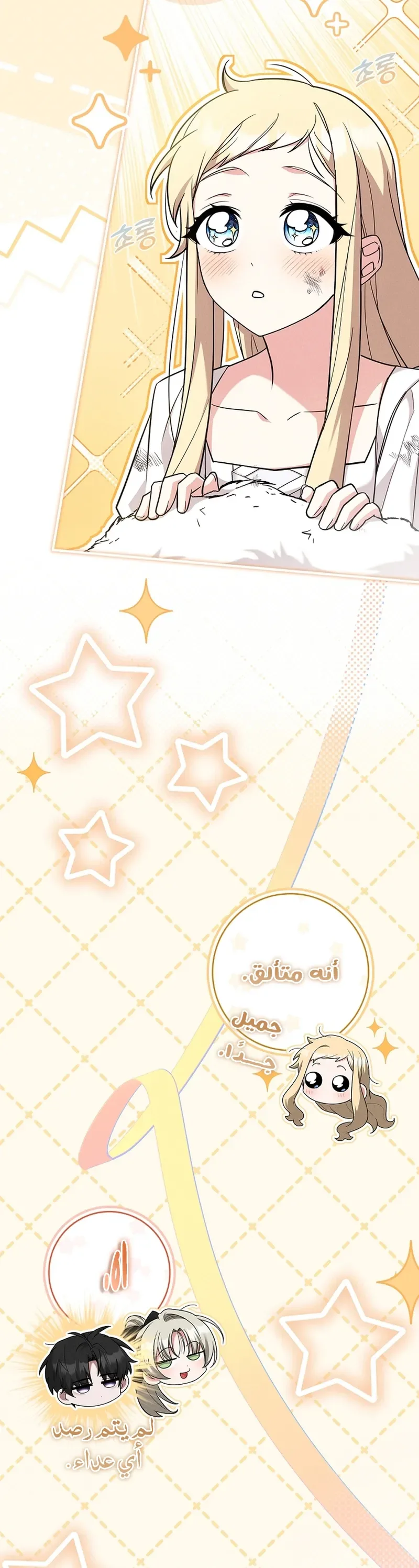 الصفحة 26