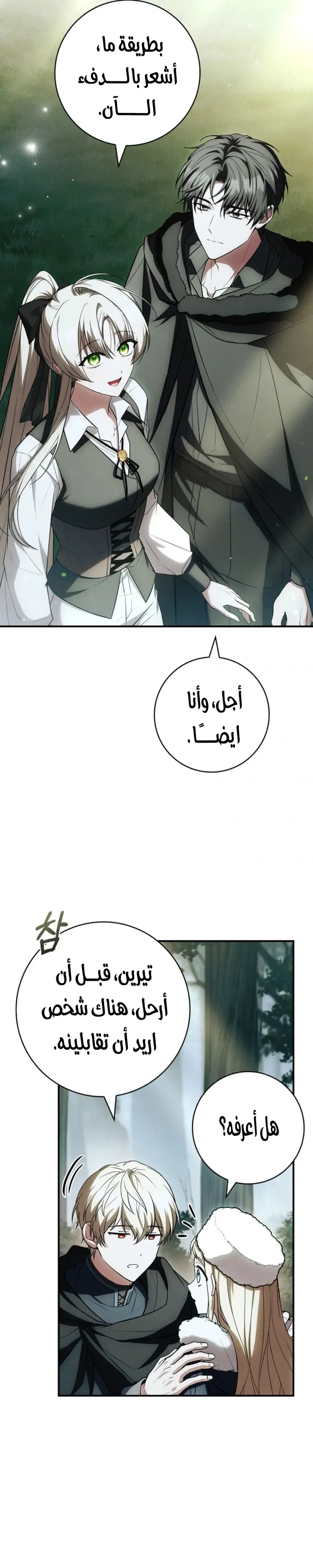 الصفحة 38