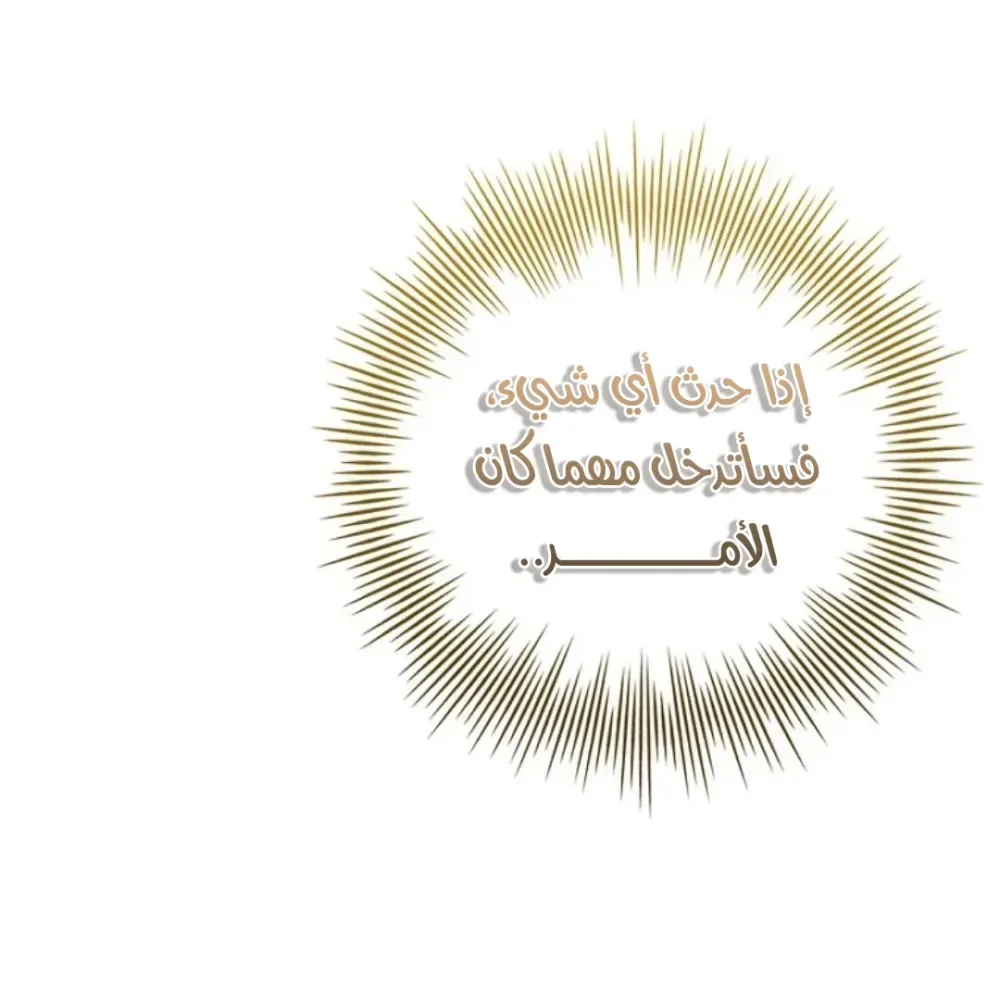 الصفحة 43