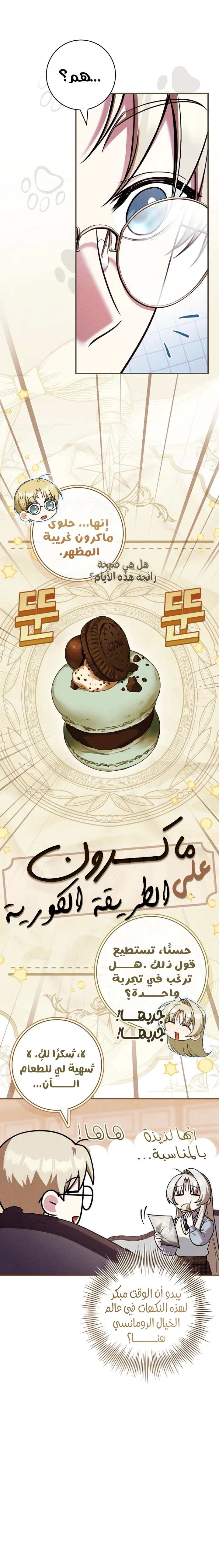 الصفحة 13