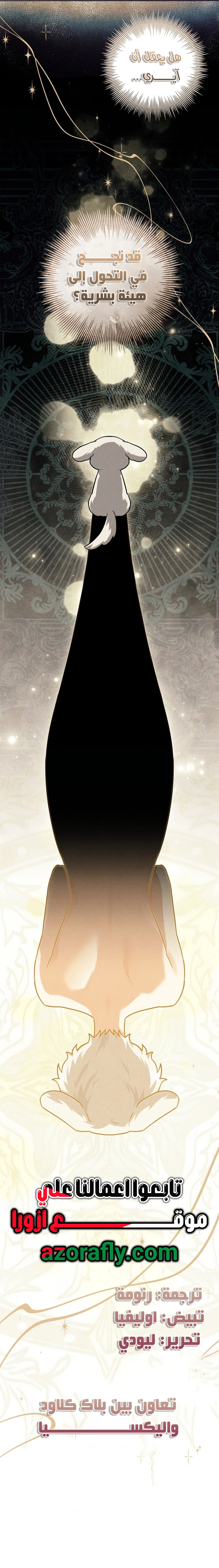 الصفحة 19