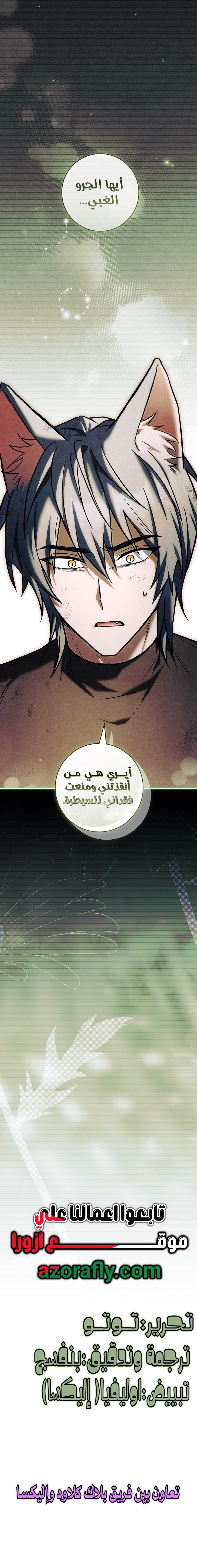 الصفحة 13
