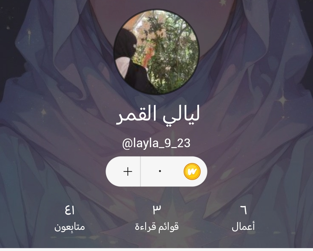 الصفحة 12