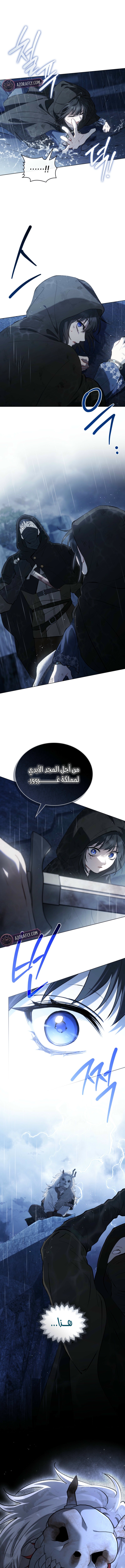 الصفحة 20