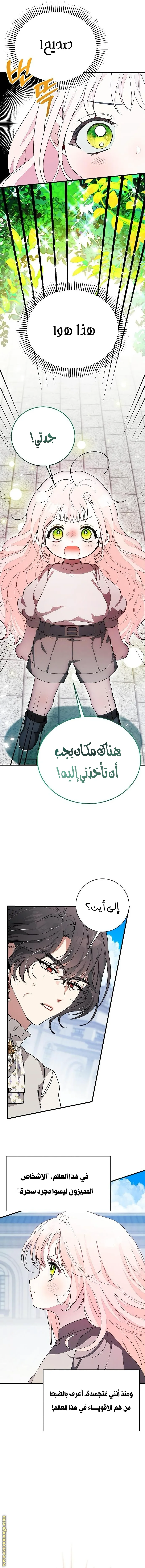 الصفحة 15