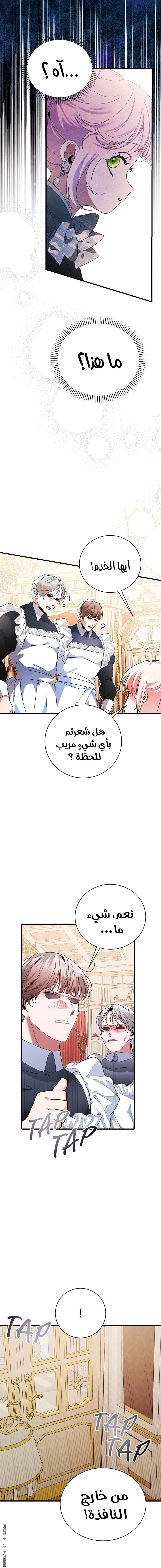 الصفحة 13