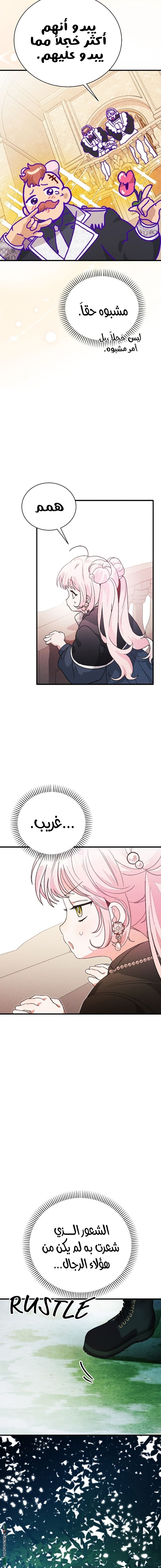 الصفحة 16