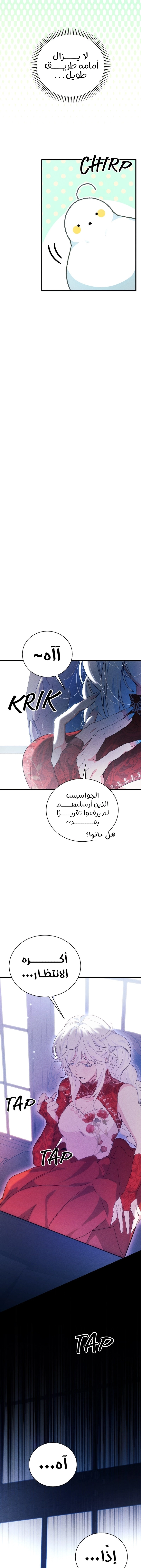 الصفحة 15