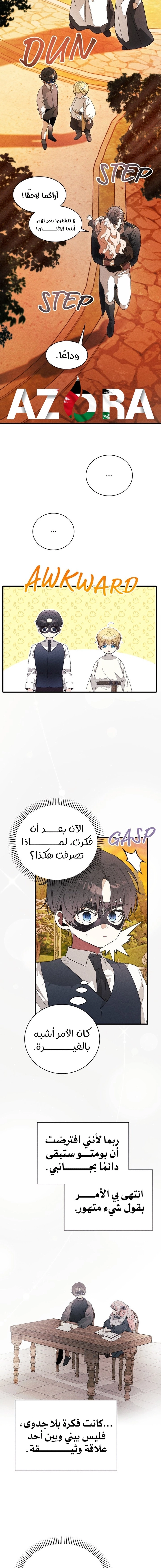 الصفحة 13