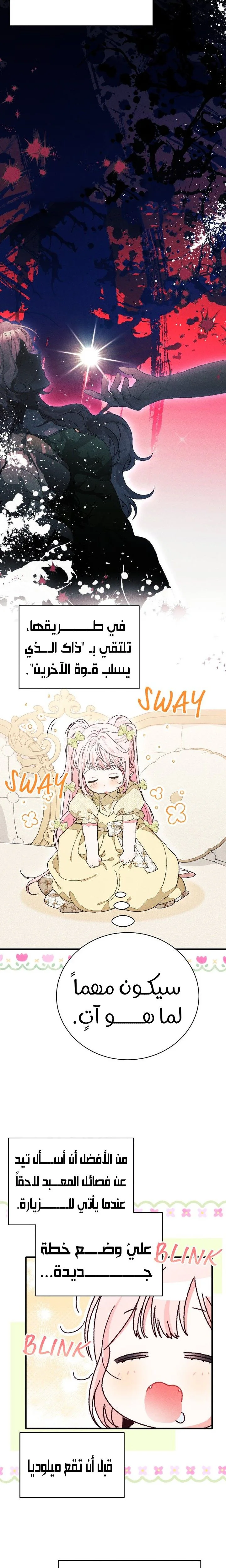 الصفحة 17