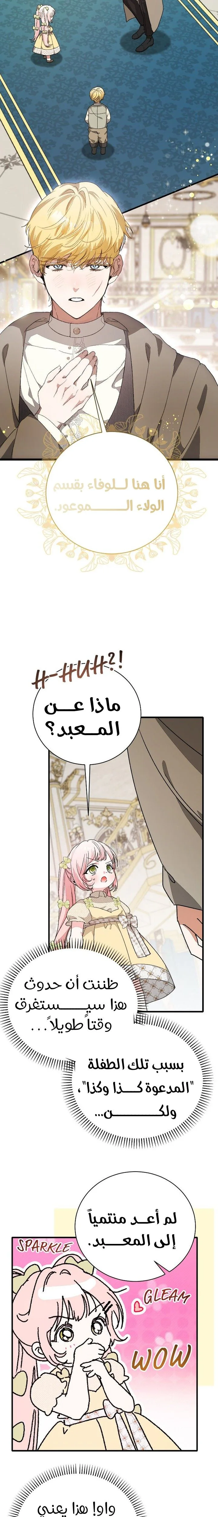 الصفحة 20