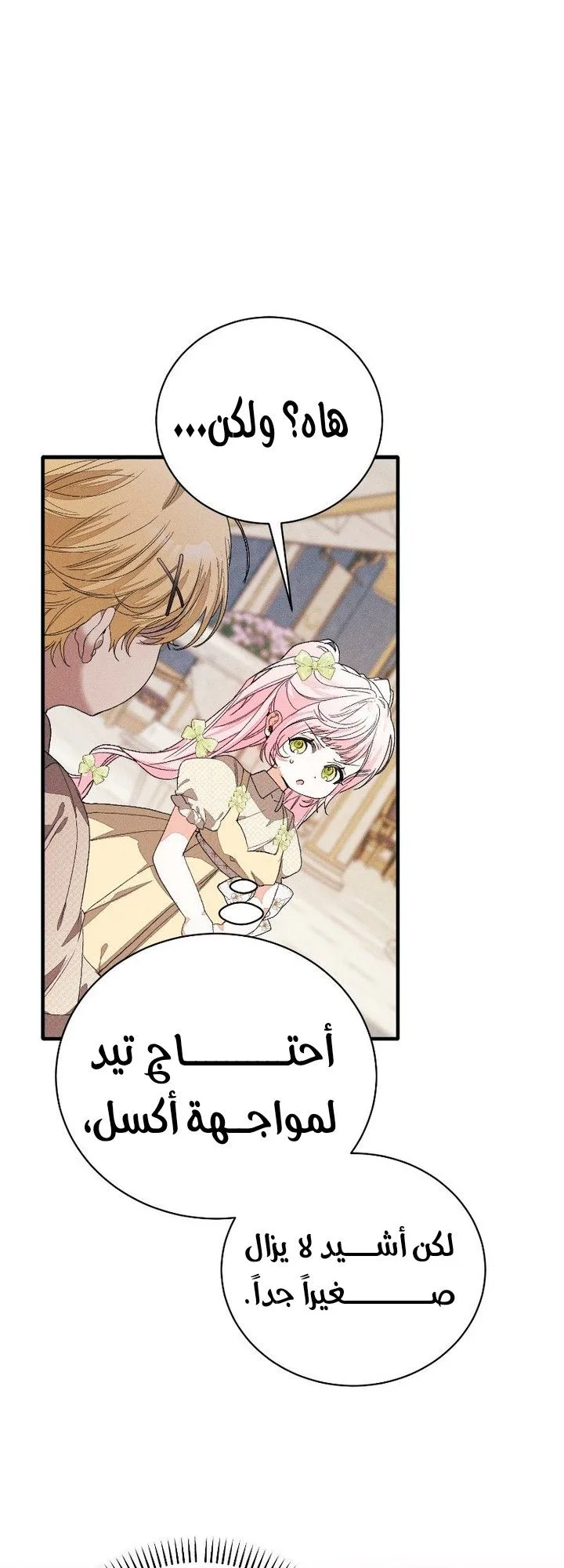 الصفحة 22