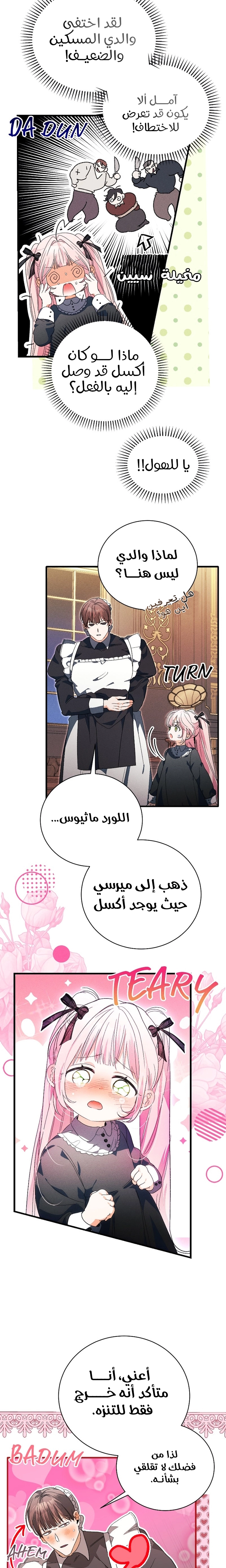 الصفحة 13