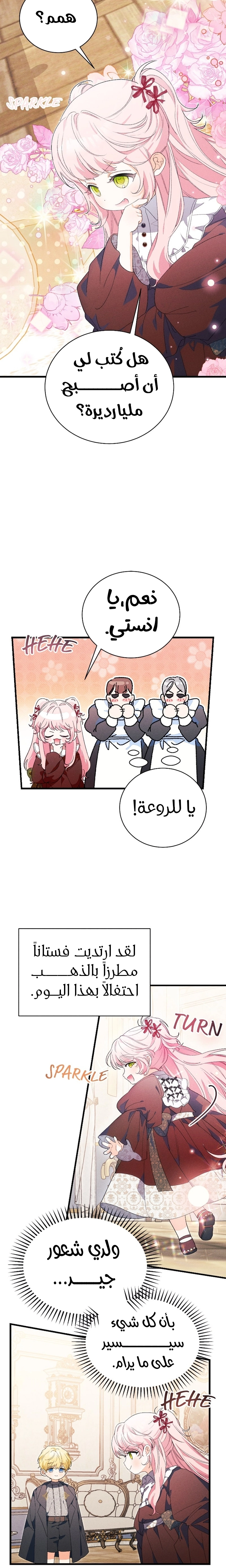 الصفحة 17