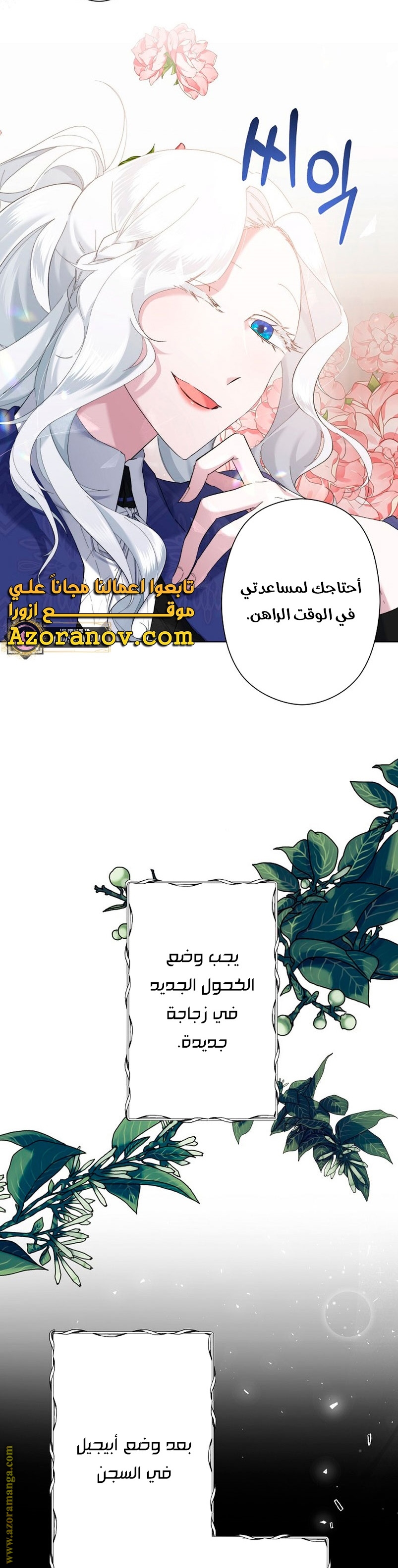 الصفحة 11