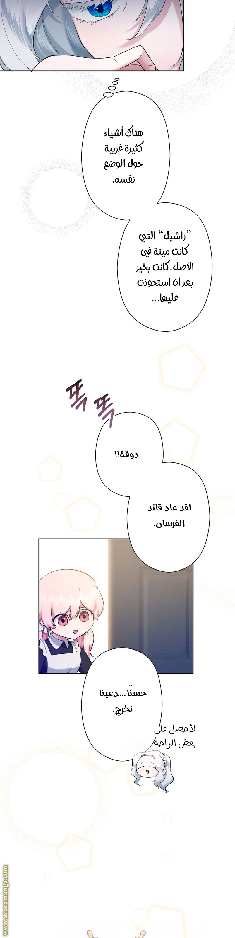 الصفحة 17