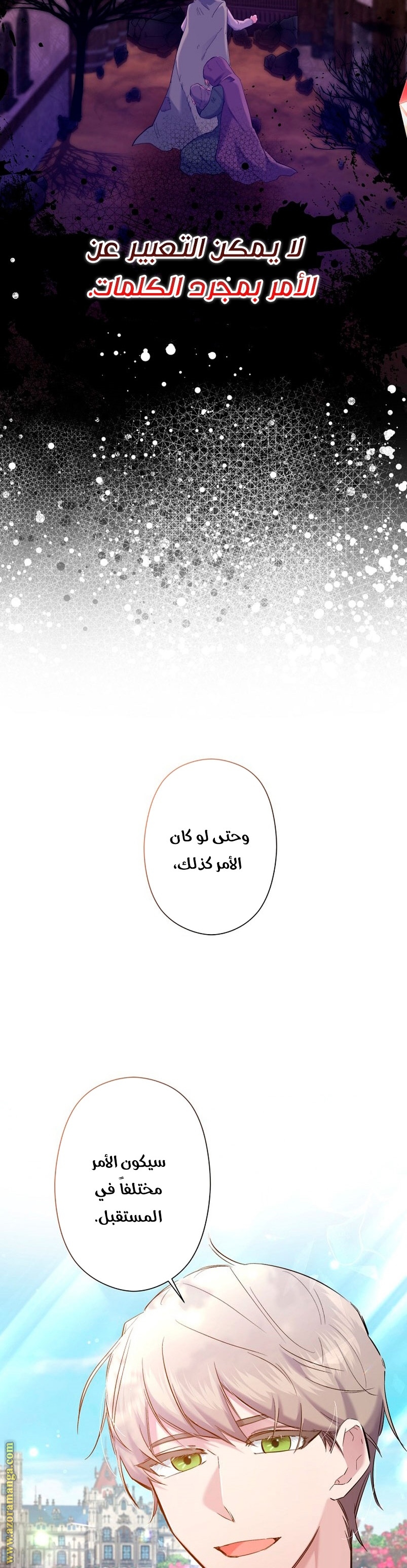 الصفحة 27