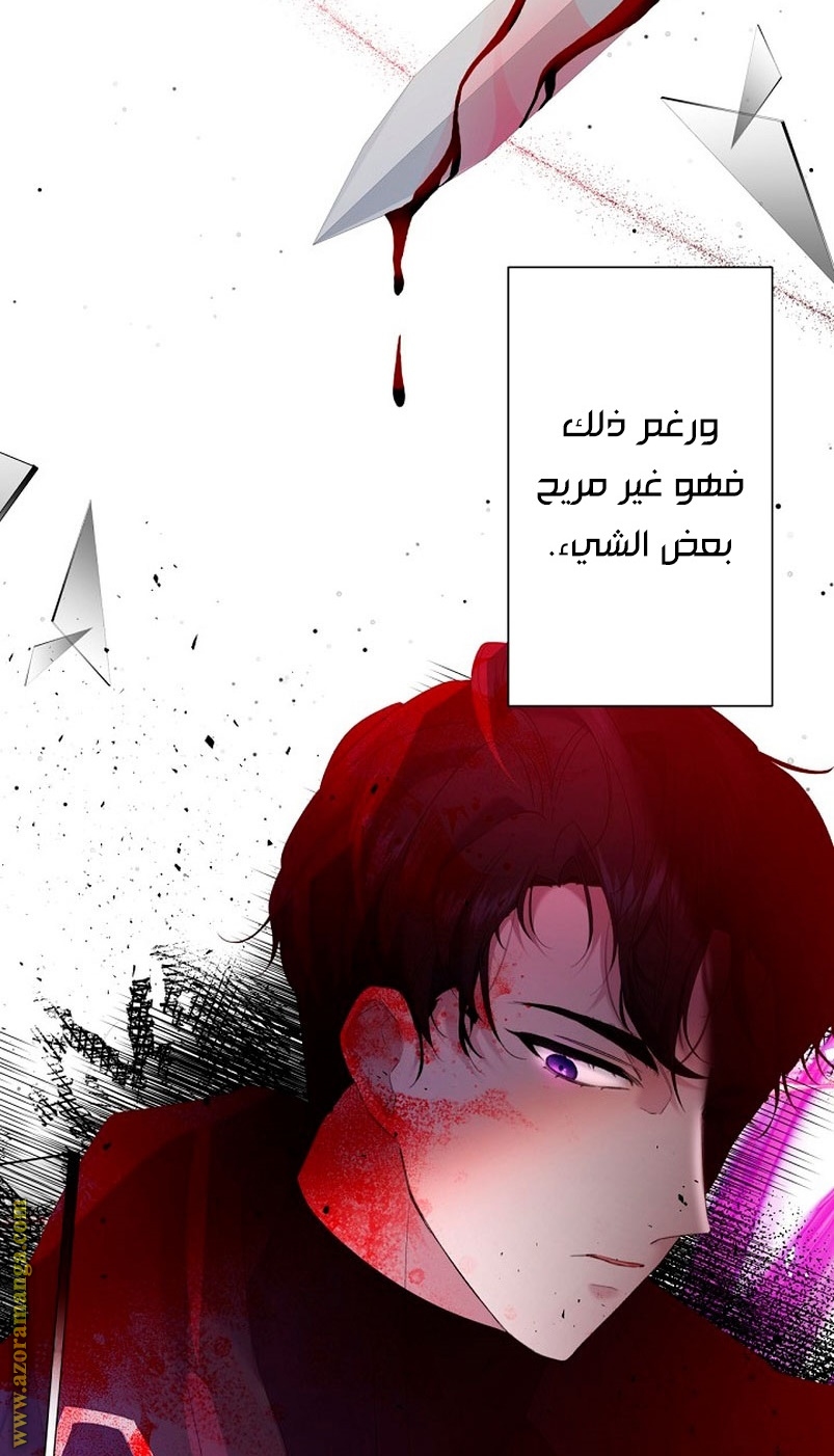 الصفحة 44